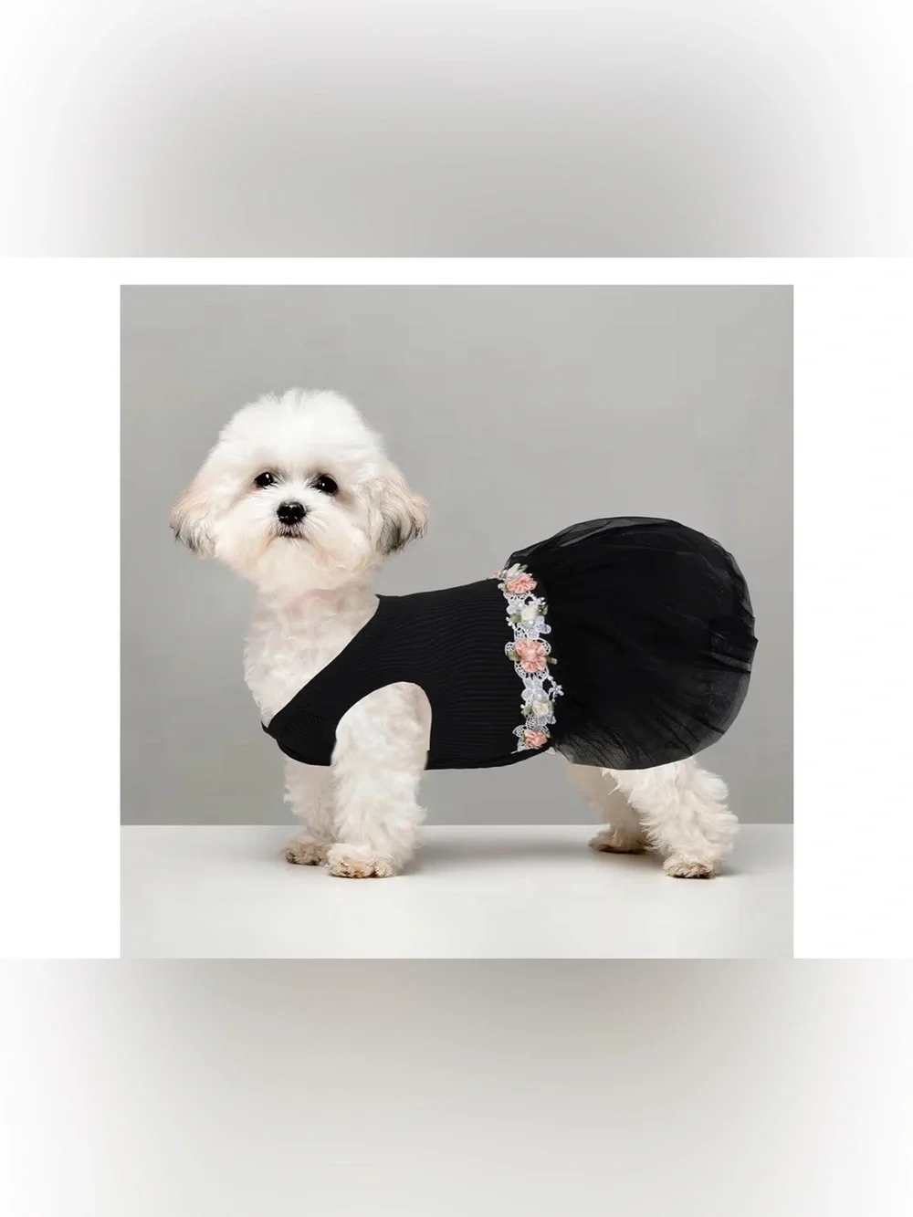 Black Tulle Flower Belt Costume Dress for pets